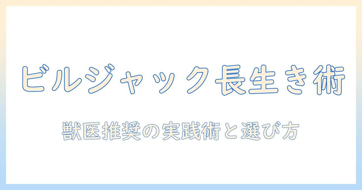 ビルジャックのドッグフードでシニア犬を元気に保つ方法