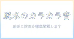 洗濯機の脱水で異音がカラカラ?原因と対処法を徹底解説