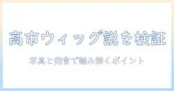 高市早苗はウィッグか?真相を徹底解説