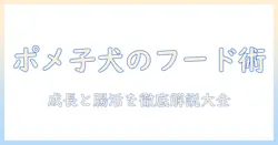 ポメラニアンの子犬におすすめのドッグフードを徹底解説|選び方とおすすめ商品