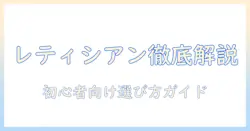レティシアンとモグニャンキャットフードの特徴を徹底解説!初心者が失敗しない選び方ガイド