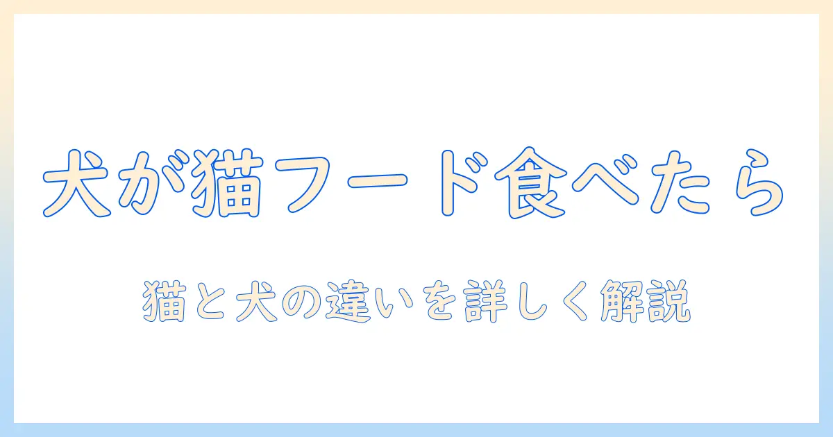 キャットフードを犬が食べたらどうなる?猫と犬の食事の違いと注意点を解説