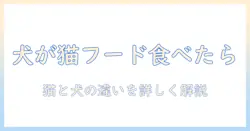 キャットフードを犬が食べたらどうなる?猫と犬の食事の違いと注意点を解説