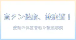 高タンパク・低脂質のキャットフードを徹底解説！愛猫の健康と体重管理に役立つ選び方