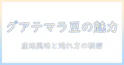 グアテマラのコーヒー豆の特徴を徹底解説