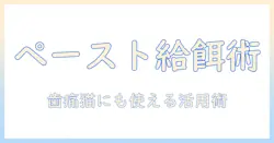 キャットフードをペーストにする方法と活用アイデア:歯が痛い猫にも優しい給餌テクニック