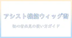 アシスト機能つきウィッグとベルトの使い方ガイド|初心者が知っておくべきポイント