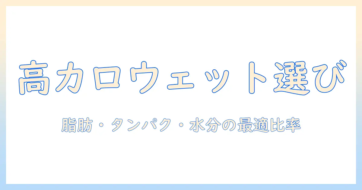 キャットフードのウェットで高カロリーを選ぶポイントと選び方