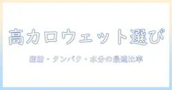キャットフードのウェットで高カロリーを選ぶポイントと選び方