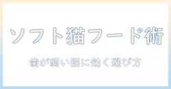 猫用の柔らかいキャットフードを選ぶときのポイントとおすすめ