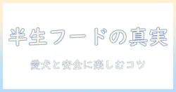 ドッグフードの半生はよくないのか?安全性と適切な選び方を徹底解説