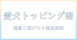 犬のドッグフードにトッピングを加えるときの量の目安と選び方