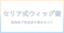 セリアのウィッグとネットでドールの髪型を完成させるコツ|低価格で揃える方法と使い方