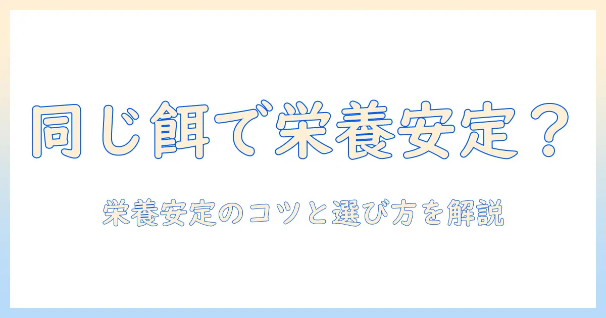 ドッグフードをずっと同じにしていいのか？栄養の安定と長期ケアのコツを徹底解説