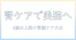 ビューティーのプロが教える8歳以上の猫の腎臓の健康を維持するキャットフードの選び方