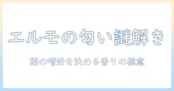 エルモとキャットフードの臭いの謎を解く:猫の嗜好と選び方ガイド