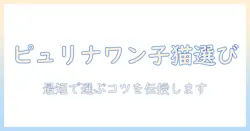 キャットフード選びのコツ:ピュリナワンの子猫用を徹底解説