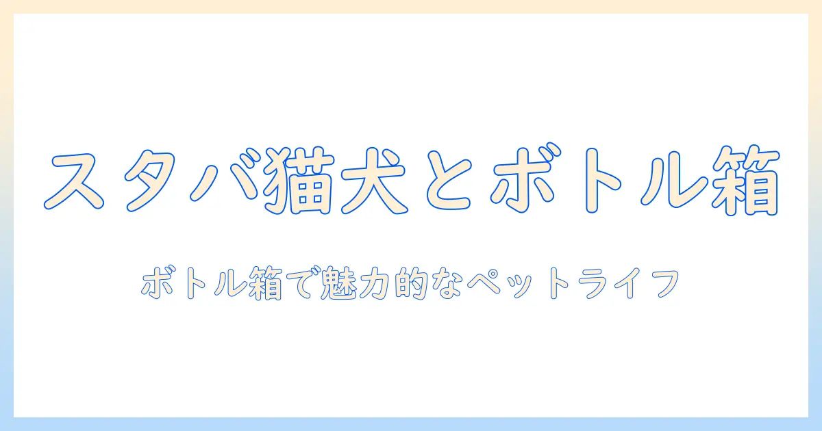 スタバのコーヒーとペットライフを楽しむためのボトルと箱の選び方