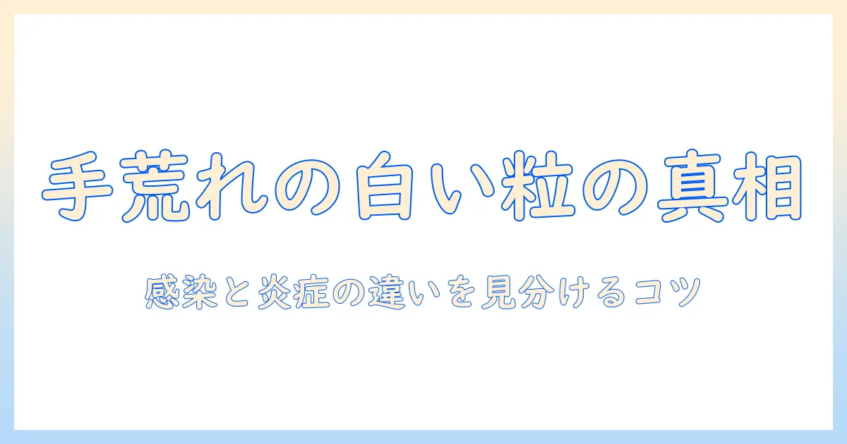 手荒れと白いプツプツの正体とは？原因・セルフケア・医療判断のポイント