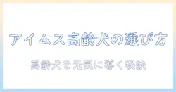 アイムスのシニア向けドッグフード徹底解説|高齢犬に適した選び方と与え方