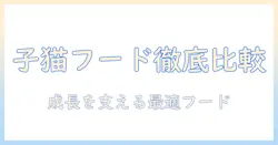 子猫 用 キャットフード ランキングで徹底比較—子猫の成長を支える最適なキャットフードの選び方
