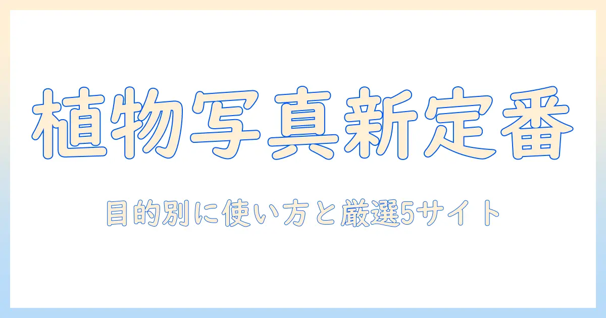 植物 写真 検索 サイトで探すデザイン素材の新定番｜目的別の使い方と厳選サイト5選