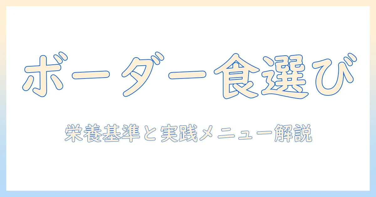 ボーダーコリーのための市販ドッグフードを徹底解説:選び方とおすすめポイント