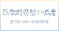 doriko キャットフード 歌詞を読み解く:ファン必読の解釈と背景