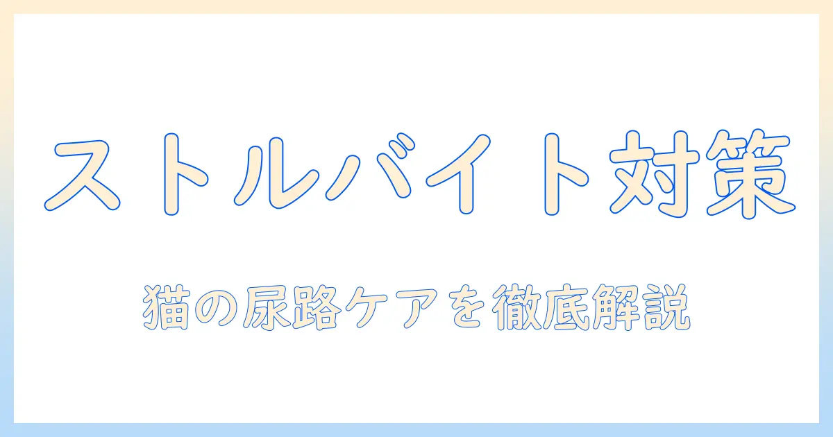キャットフードで学ぶストルバイトケアのおすすめガイド