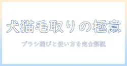 ペット用掃除機のブラシ徹底ガイド|犬猫の毛を取りやすくする選び方と使い方