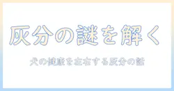 ドッグフードの灰分とは何かを徹底解説｜栄養成分の意味と選び方のポイント