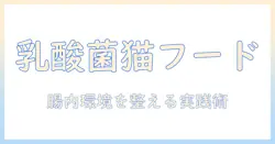 キャットフードと乳酸菌入りの選び方ガイド|猫の腸内環境を整えるための実践ポイント