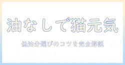 キャットフードの油分を少なめに抑える選び方とポイント