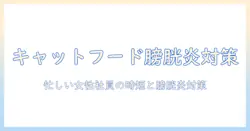 キャットフードで膀胱炎予防を実現する方法:忙しい女性の会社員が知っておくべき選び方とポイント