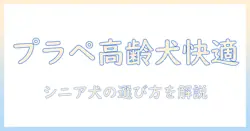 プラペのシニア向けドッグフードを徹底解説:高齢犬に合う選び方とポイント