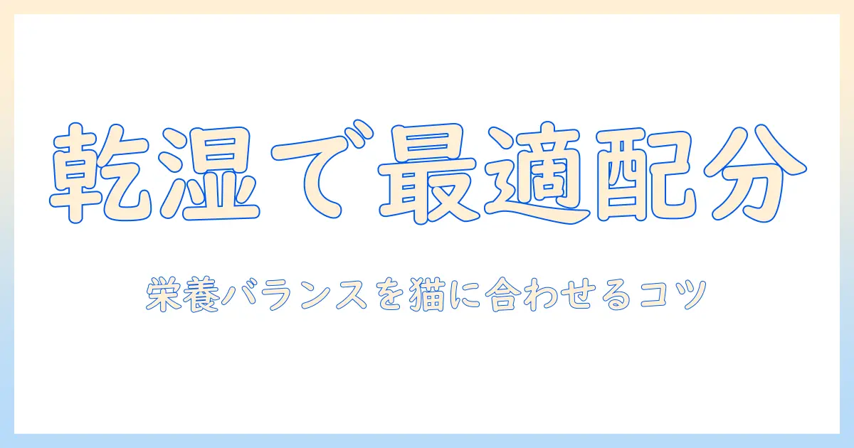 キャットフードのドライとウェットを併用するメリットと注意点｜猫に最適な栄養バランスを見極める方法