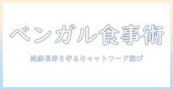 ベンガル猫のキャットフードを選ぶときのポイントと健康管理ガイド