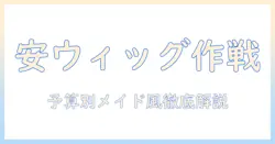 ウィッグをオーダーしてメイド風コスプレを安い価格で楽しむ方法