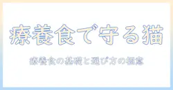 キャットフードと療養食の選び方ガイド：愛猫の健康を守るためのポイントと注意点