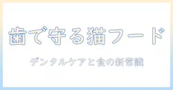 キャットフードとデンタルケアの両立ガイド:愛猫の口内ケアを支える選び方とケアの実践法