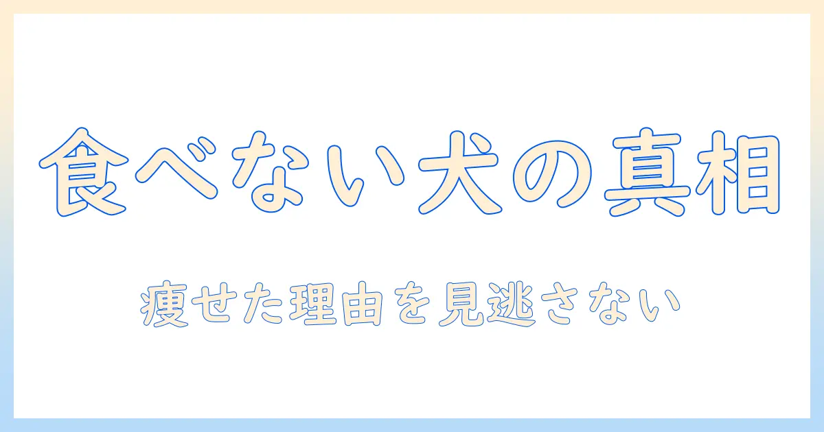 犬がドッグフードを食べないときの原因と対処法—痩せた理由を見逃さないために