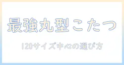 こたつの丸型テーブルを選ぶポイントと実例：120サイズの丸型こたつを中心に解説