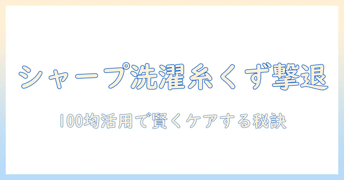 シャープの洗濯機の糸くずフィルターを100均で揃えて賢くケアする方法