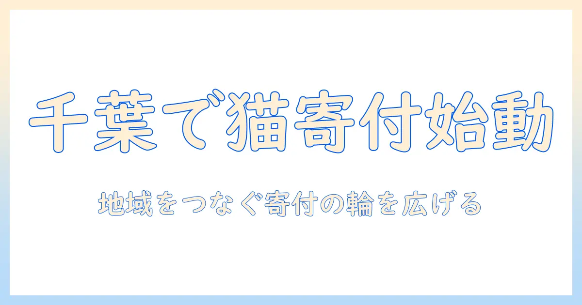 キャットフードの寄付を千葉の市で始めるには？地域の受け入れ先と方法を解説