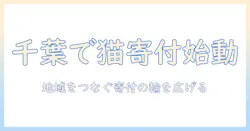 キャットフードの寄付を千葉の市で始めるには？地域の受け入れ先と方法を解説