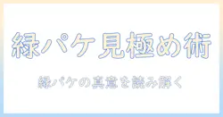 キャットフードを選ぶときのポイント：緑のパッケージのブランドを見極める方法