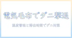 電気毛布の使い方と時間管理で実現するダニ退治のコツ