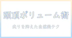 ウィッグで頭頂部のボリュームを整え、尖る印象を抑える自然な見せ方