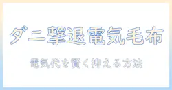 電気毛布でダニ退治と電気代を抑える方法