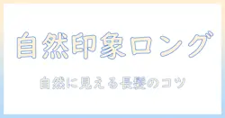 自然な印象を叶える フル ウィッグ ロング の選び方とお手入れ